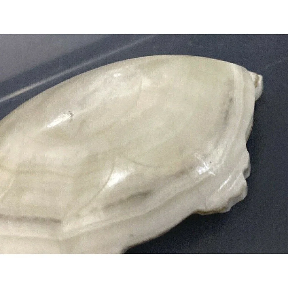 Onyx? Marble? Turtle Paperweight Figurine Carved Sea Tortoise Cream Vintage